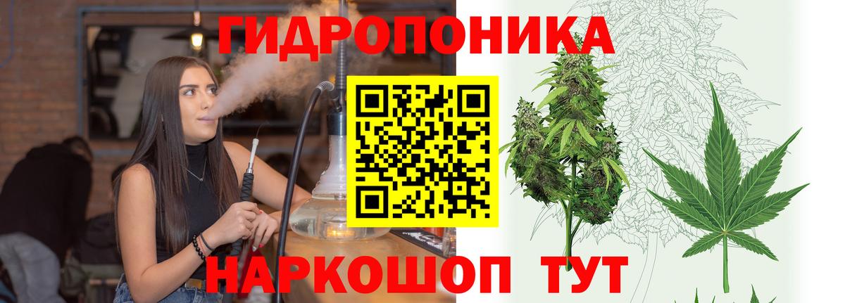 МАРИХУАНА OG Kush Зеленодольск